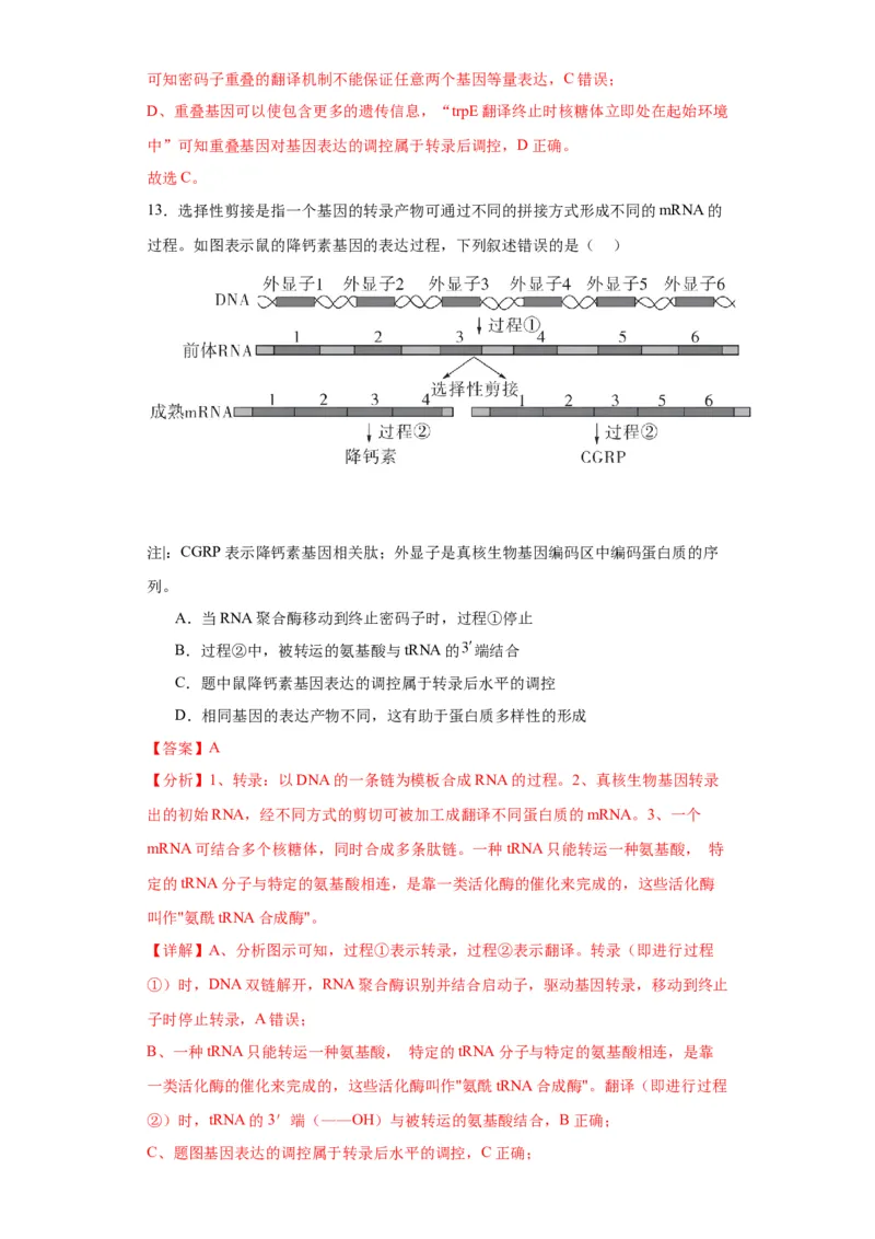 第六单元遗传的分子基础（测试卷）（解析版)_2024年新高考资料_3.2024专项复习_备战2024年高考生物一轮复习重难点专项突破