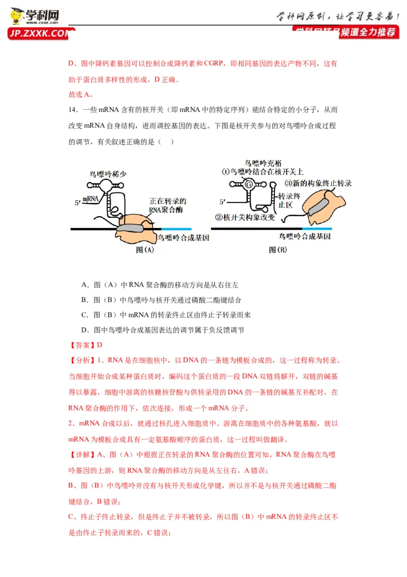 第六单元遗传的分子基础（测试卷）（解析版)_2024年新高考资料_3.2024专项复习_备战2024年高考生物一轮复习重难点专项突破
