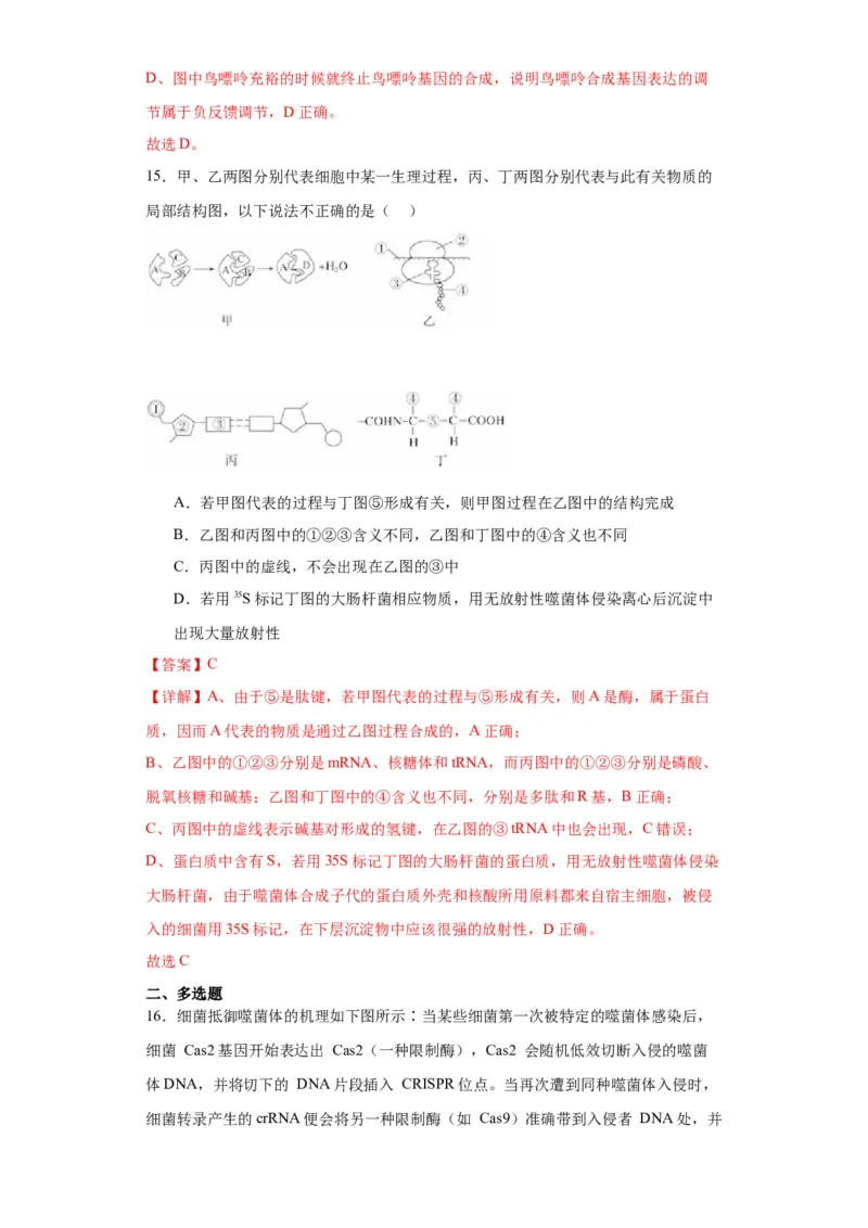 第六单元遗传的分子基础（测试卷）（解析版)_2024年新高考资料_3.2024专项复习_备战2024年高考生物一轮复习重难点专项突破