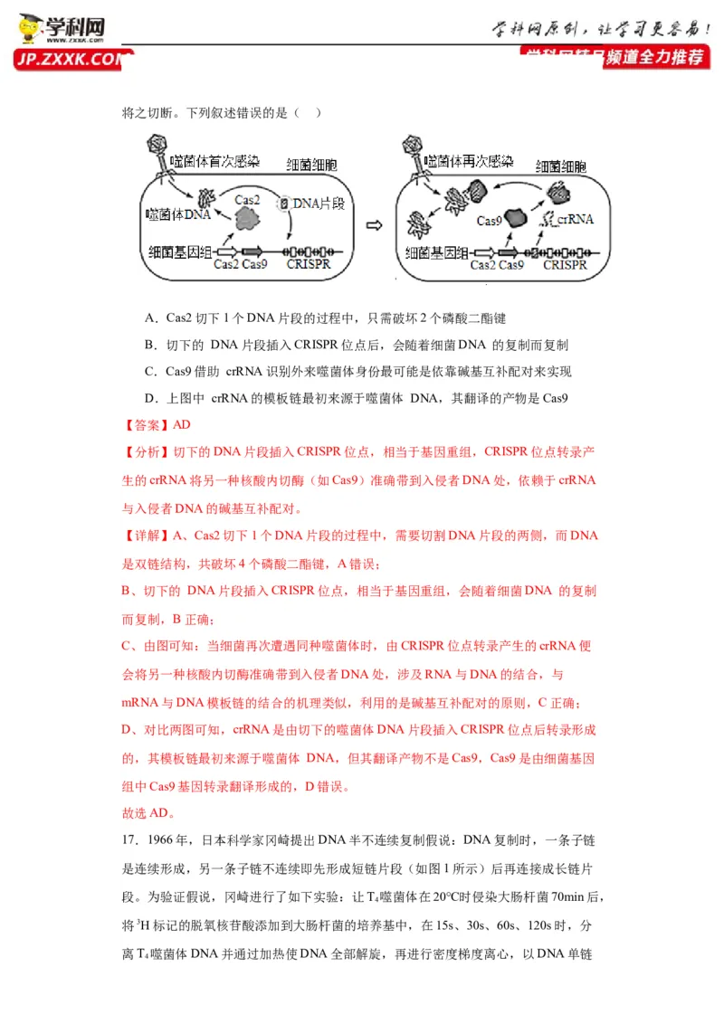 第六单元遗传的分子基础（测试卷）（解析版)_2024年新高考资料_3.2024专项复习_备战2024年高考生物一轮复习重难点专项突破