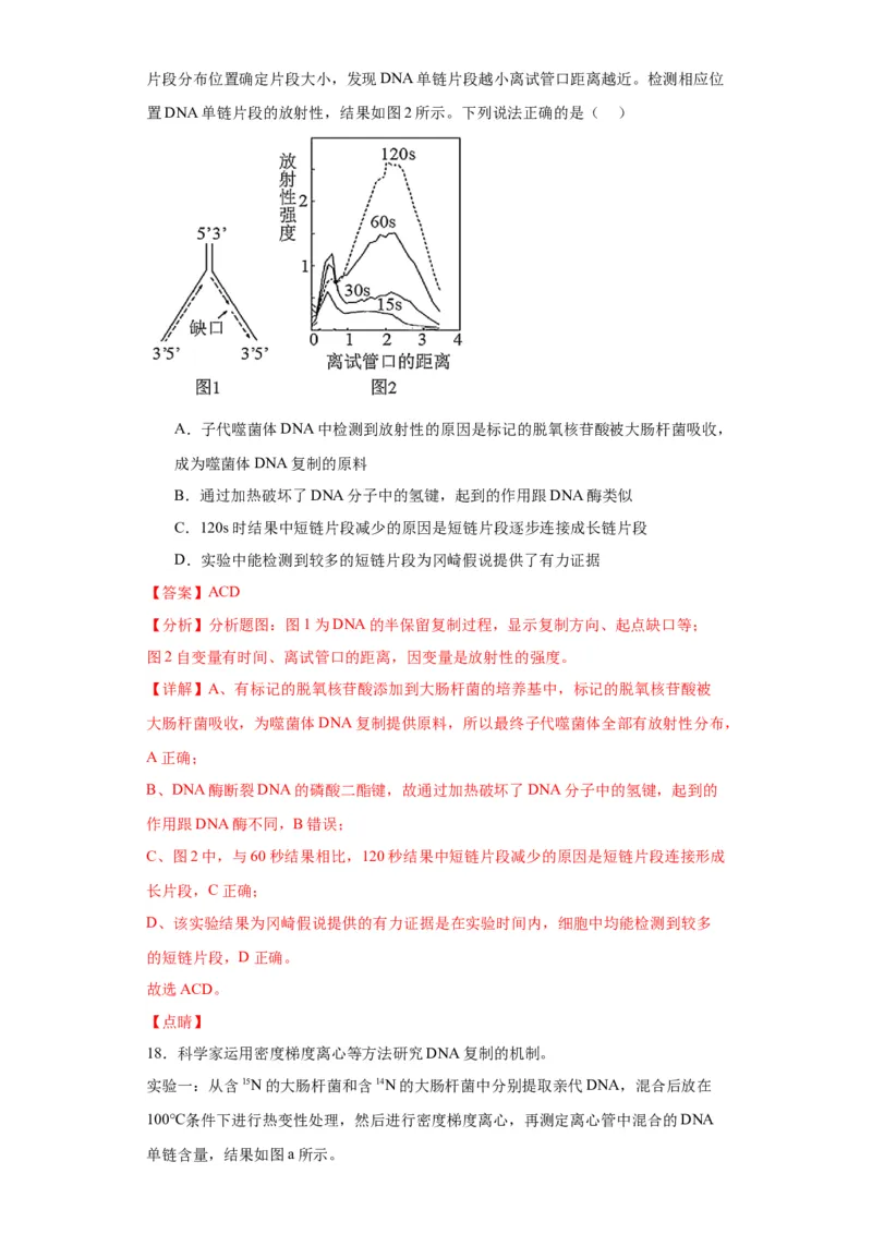 第六单元遗传的分子基础（测试卷）（解析版)_2024年新高考资料_3.2024专项复习_备战2024年高考生物一轮复习重难点专项突破