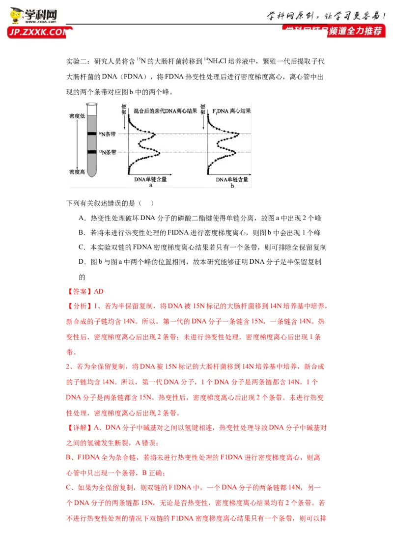 第六单元遗传的分子基础（测试卷）（解析版)_2024年新高考资料_3.2024专项复习_备战2024年高考生物一轮复习重难点专项突破