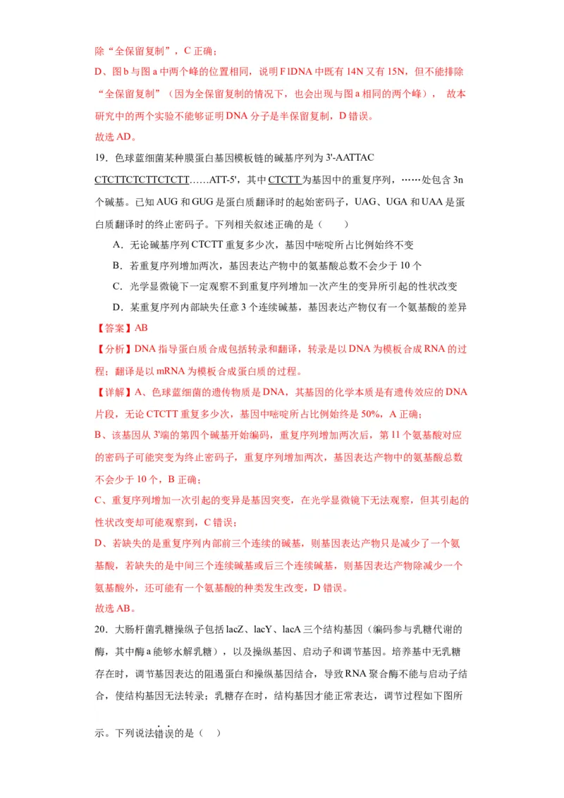 第六单元遗传的分子基础（测试卷）（解析版)_2024年新高考资料_3.2024专项复习_备战2024年高考生物一轮复习重难点专项突破