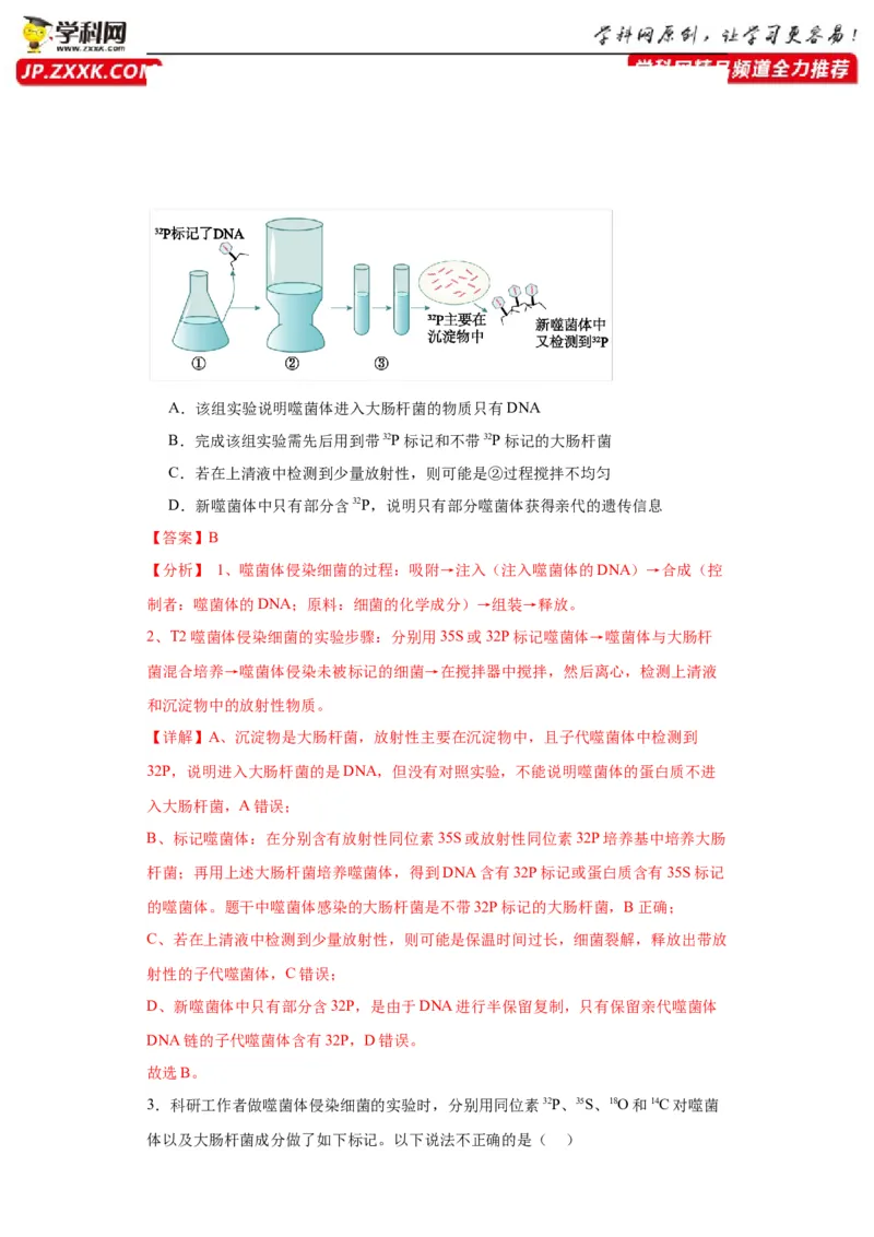 第六单元遗传的分子基础（测试卷）（解析版)_2024年新高考资料_3.2024专项复习_备战2024年高考生物一轮复习重难点专项突破