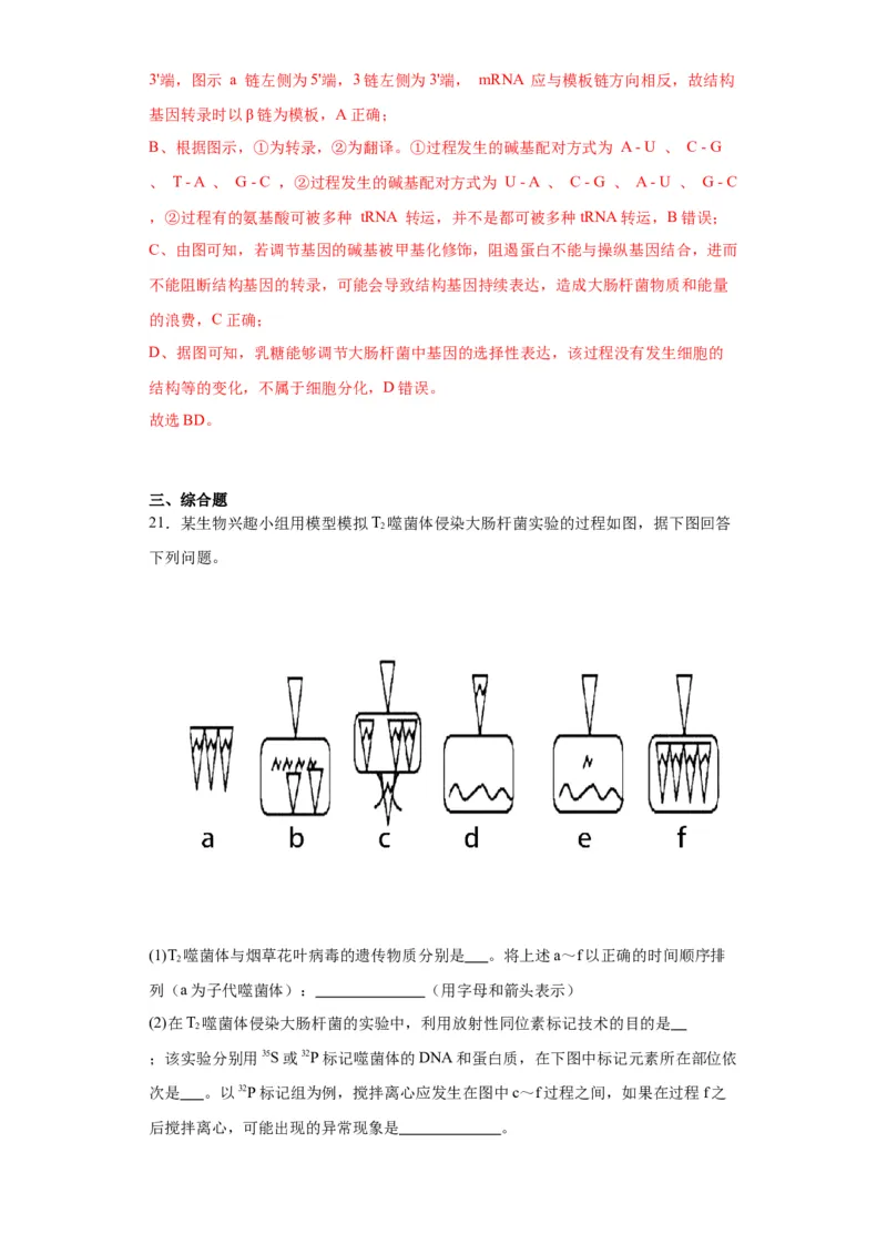 第六单元遗传的分子基础（测试卷）（解析版)_2024年新高考资料_3.2024专项复习_备战2024年高考生物一轮复习重难点专项突破