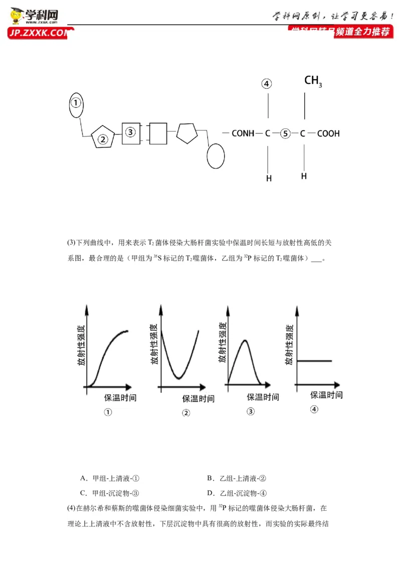 第六单元遗传的分子基础（测试卷）（解析版)_2024年新高考资料_3.2024专项复习_备战2024年高考生物一轮复习重难点专项突破
