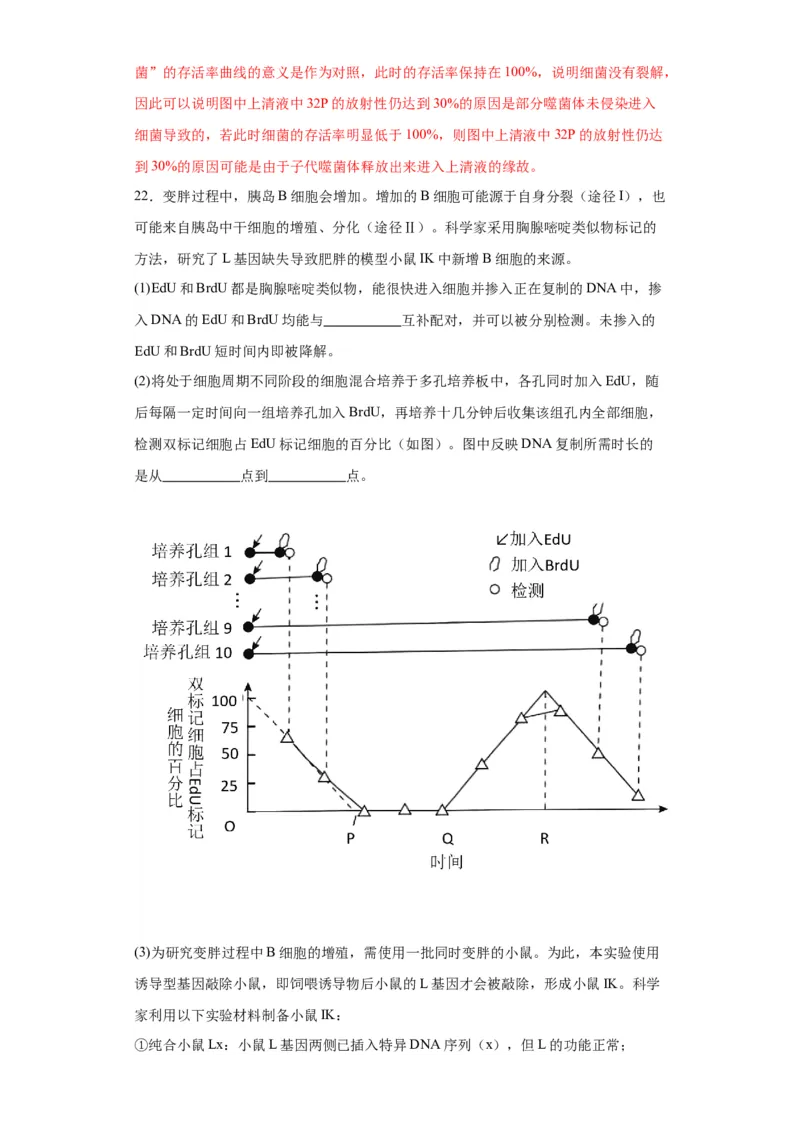 第六单元遗传的分子基础（测试卷）（解析版)_2024年新高考资料_3.2024专项复习_备战2024年高考生物一轮复习重难点专项突破