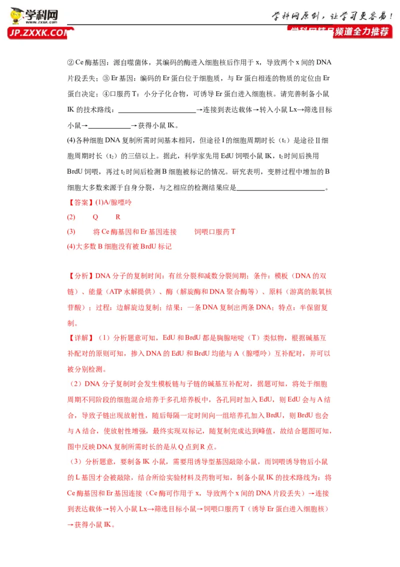第六单元遗传的分子基础（测试卷）（解析版)_2024年新高考资料_3.2024专项复习_备战2024年高考生物一轮复习重难点专项突破