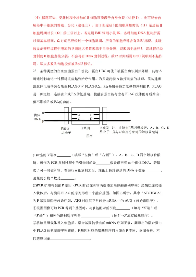 第六单元遗传的分子基础（测试卷）（解析版)_2024年新高考资料_3.2024专项复习_备战2024年高考生物一轮复习重难点专项突破