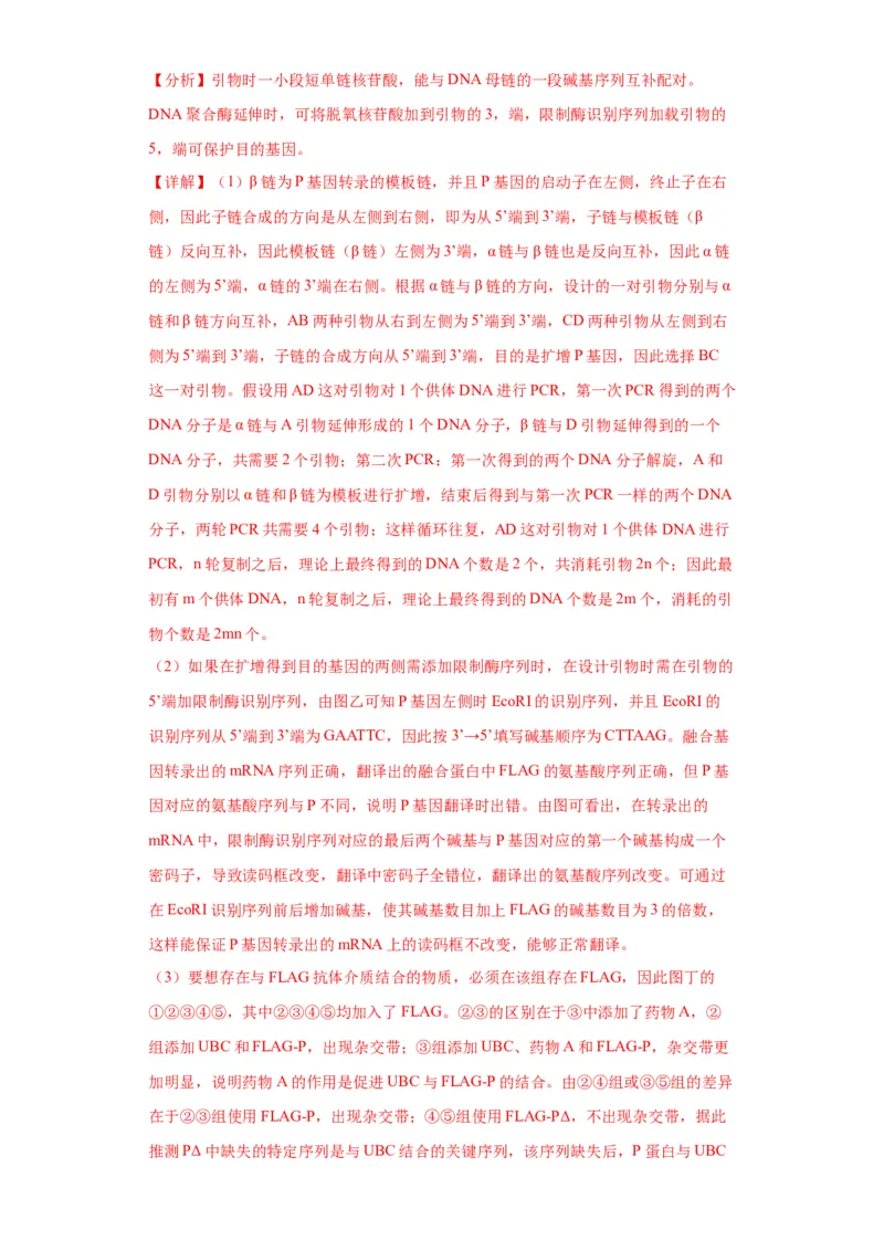 第六单元遗传的分子基础（测试卷）（解析版)_2024年新高考资料_3.2024专项复习_备战2024年高考生物一轮复习重难点专项突破