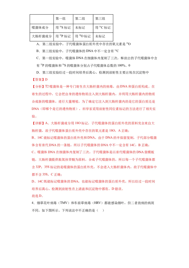 第六单元遗传的分子基础（测试卷）（解析版)_2024年新高考资料_3.2024专项复习_备战2024年高考生物一轮复习重难点专项突破