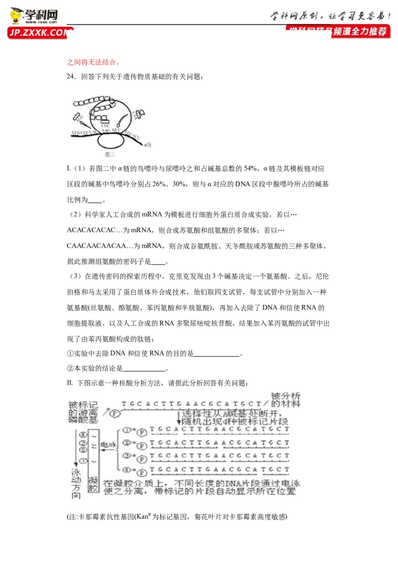 第六单元遗传的分子基础（测试卷）（解析版)_2024年新高考资料_3.2024专项复习_备战2024年高考生物一轮复习重难点专项突破