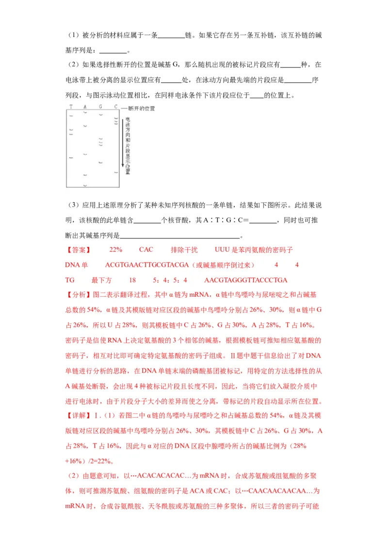 第六单元遗传的分子基础（测试卷）（解析版)_2024年新高考资料_3.2024专项复习_备战2024年高考生物一轮复习重难点专项突破