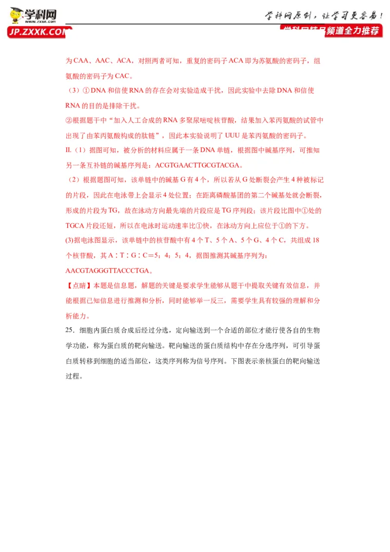 第六单元遗传的分子基础（测试卷）（解析版)_2024年新高考资料_3.2024专项复习_备战2024年高考生物一轮复习重难点专项突破