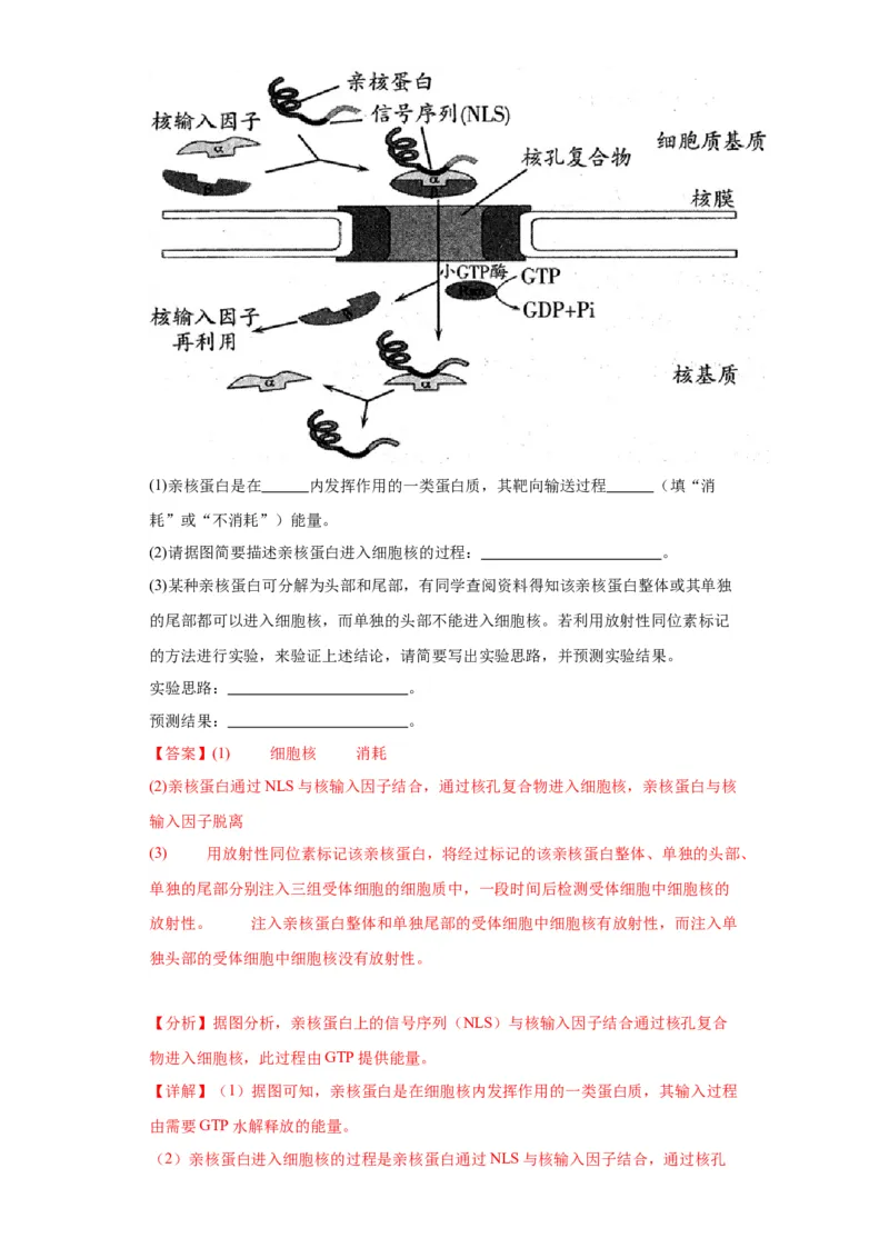 第六单元遗传的分子基础（测试卷）（解析版)_2024年新高考资料_3.2024专项复习_备战2024年高考生物一轮复习重难点专项突破