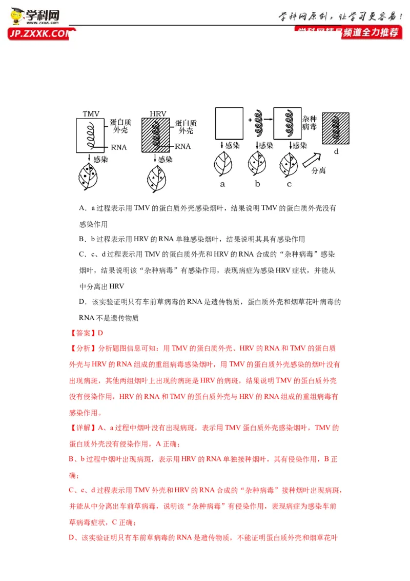 第六单元遗传的分子基础（测试卷）（解析版)_2024年新高考资料_3.2024专项复习_备战2024年高考生物一轮复习重难点专项突破