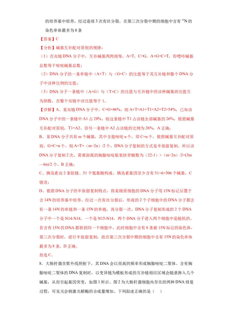 第六单元遗传的分子基础（测试卷）（解析版)_2024年新高考资料_3.2024专项复习_备战2024年高考生物一轮复习重难点专项突破