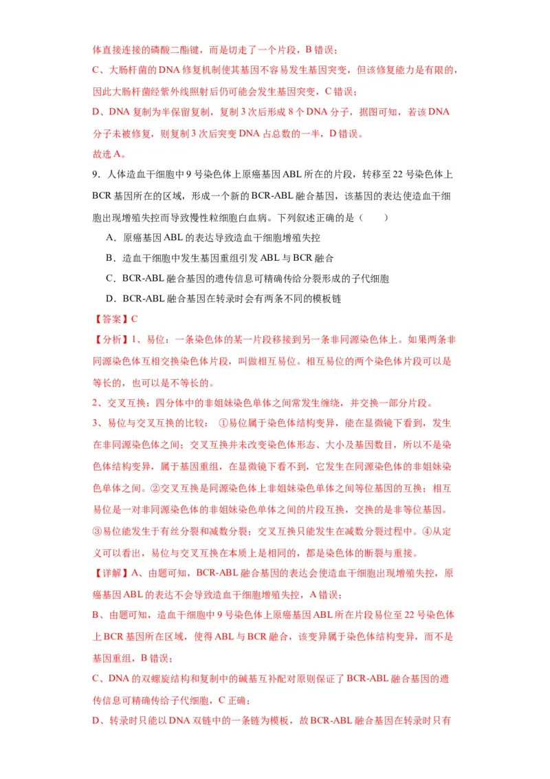 第六单元遗传的分子基础（测试卷）（解析版)_2024年新高考资料_3.2024专项复习_备战2024年高考生物一轮复习重难点专项突破