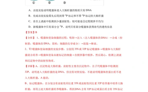 第六单元遗传的分子基础（测试卷）（解析版)_2024年新高考资料_3.2024专项复习_备战2024年高考生物一轮复习重难点专项突破