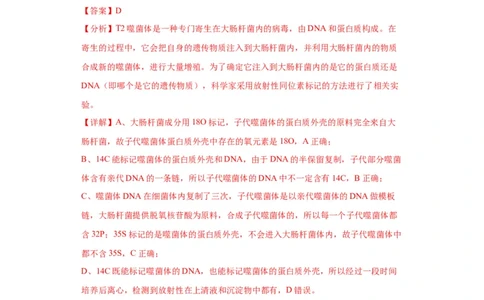 第六单元遗传的分子基础（测试卷）（解析版)_2024年新高考资料_3.2024专项复习_备战2024年高考生物一轮复习重难点专项突破