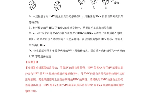 第六单元遗传的分子基础（测试卷）（解析版)_2024年新高考资料_3.2024专项复习_备战2024年高考生物一轮复习重难点专项突破