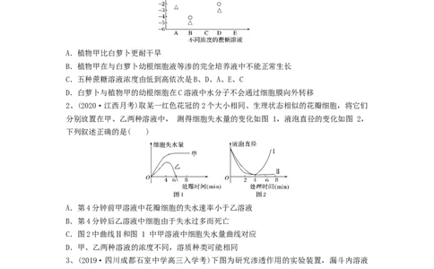 专题06细胞的物质输入和输出（精练）（原卷版）_新高考复习资料_2024年新高考复习资料_一轮复习资料_完备战2024年高考生物一轮复习串讲精练（新高考专用）_精练
