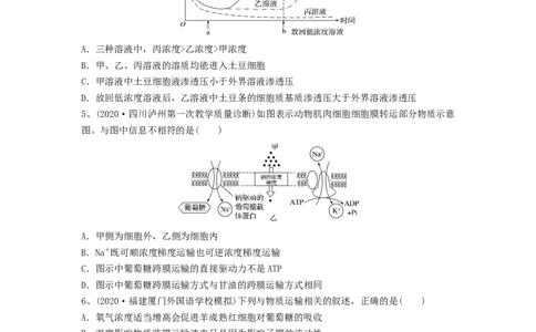 专题06细胞的物质输入和输出（精练）（原卷版）_新高考复习资料_2024年新高考复习资料_一轮复习资料_完备战2024年高考生物一轮复习串讲精练（新高考专用）_精练