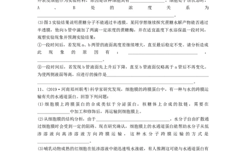 专题06细胞的物质输入和输出（精练）（原卷版）_新高考复习资料_2024年新高考复习资料_一轮复习资料_完备战2024年高考生物一轮复习串讲精练（新高考专用）_精练