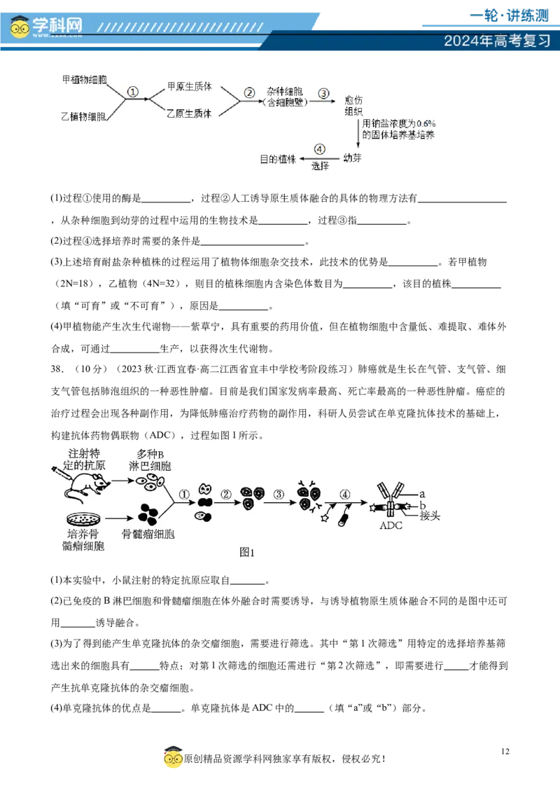 第十单元生物技术与工程（测试）（原卷版）_2024年新高考资料_1.2024一轮复习_2024年高考生物一轮复习讲练测（新教材新高考）