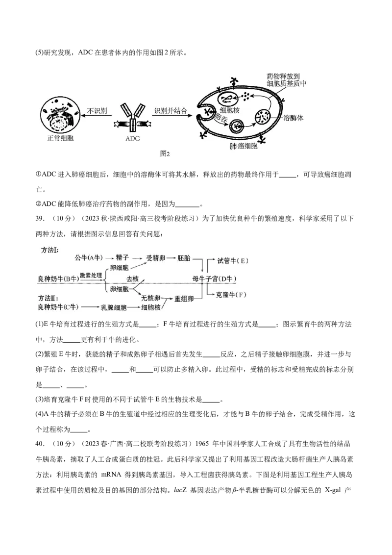 第十单元生物技术与工程（测试）（原卷版）_2024年新高考资料_1.2024一轮复习_2024年高考生物一轮复习讲练测（新教材新高考）