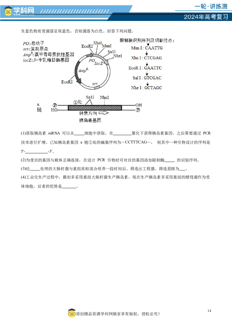 第十单元生物技术与工程（测试）（原卷版）_2024年新高考资料_1.2024一轮复习_2024年高考生物一轮复习讲练测（新教材新高考）