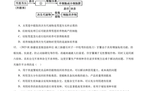 第十单元生物技术与工程（测试）（原卷版）_2024年新高考资料_1.2024一轮复习_2024年高考生物一轮复习讲练测（新教材新高考）