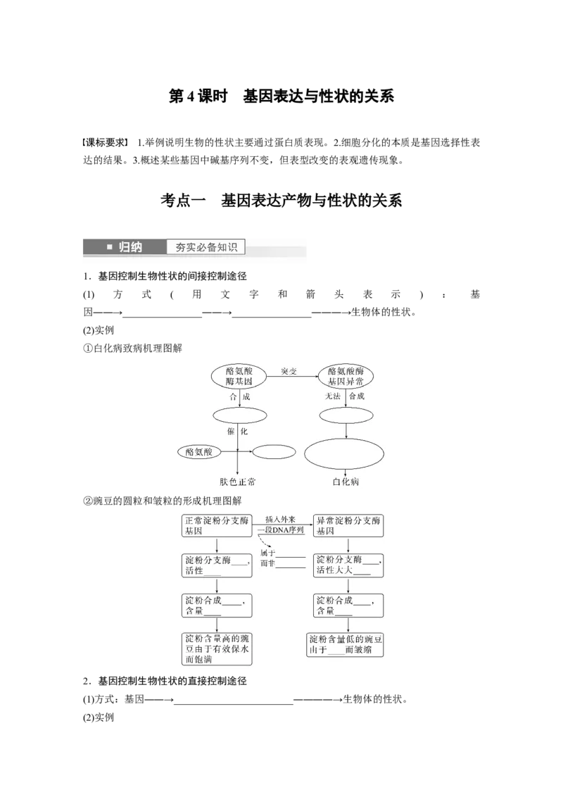 第6单元　第4课时　基因表达与性状的关系_2024年新高考资料_1.2024一轮复习_2024年高考生物一轮复习讲义（新人教版）_学生版在此文件夹_大一轮复习讲义_第六单元　遗传的物质基础