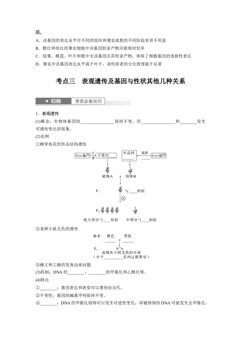 第6单元　第4课时　基因表达与性状的关系_2024年新高考资料_1.2024一轮复习_2024年高考生物一轮复习讲义（新人教版）_学生版在此文件夹_大一轮复习讲义_第六单元　遗传的物质基础
