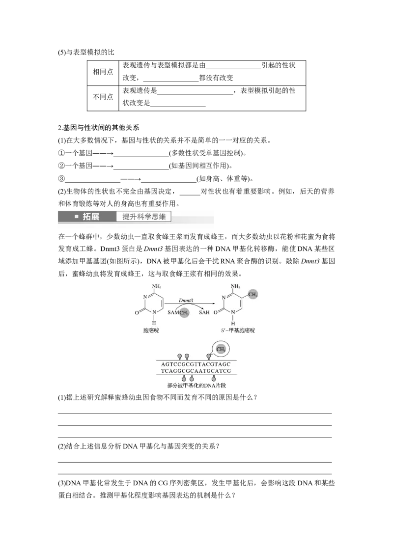 第6单元　第4课时　基因表达与性状的关系_2024年新高考资料_1.2024一轮复习_2024年高考生物一轮复习讲义（新人教版）_学生版在此文件夹_大一轮复习讲义_第六单元　遗传的物质基础