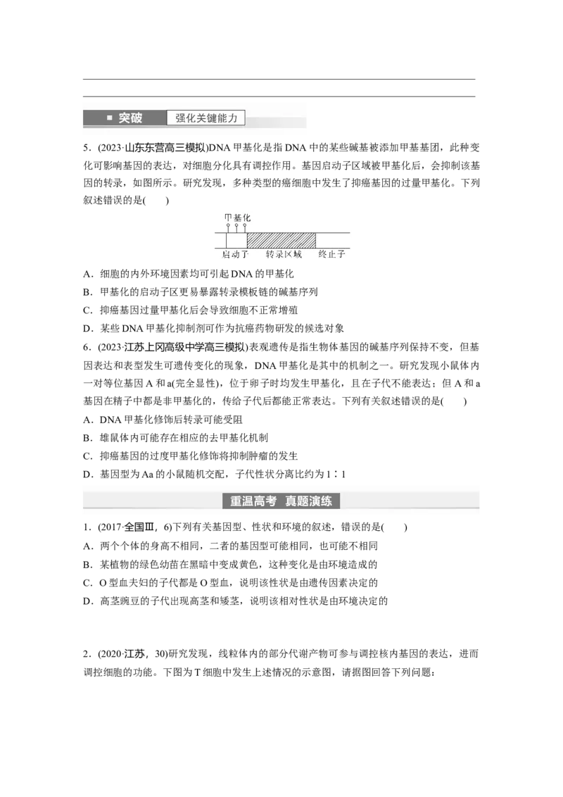 第6单元　第4课时　基因表达与性状的关系_2024年新高考资料_1.2024一轮复习_2024年高考生物一轮复习讲义（新人教版）_学生版在此文件夹_大一轮复习讲义_第六单元　遗传的物质基础