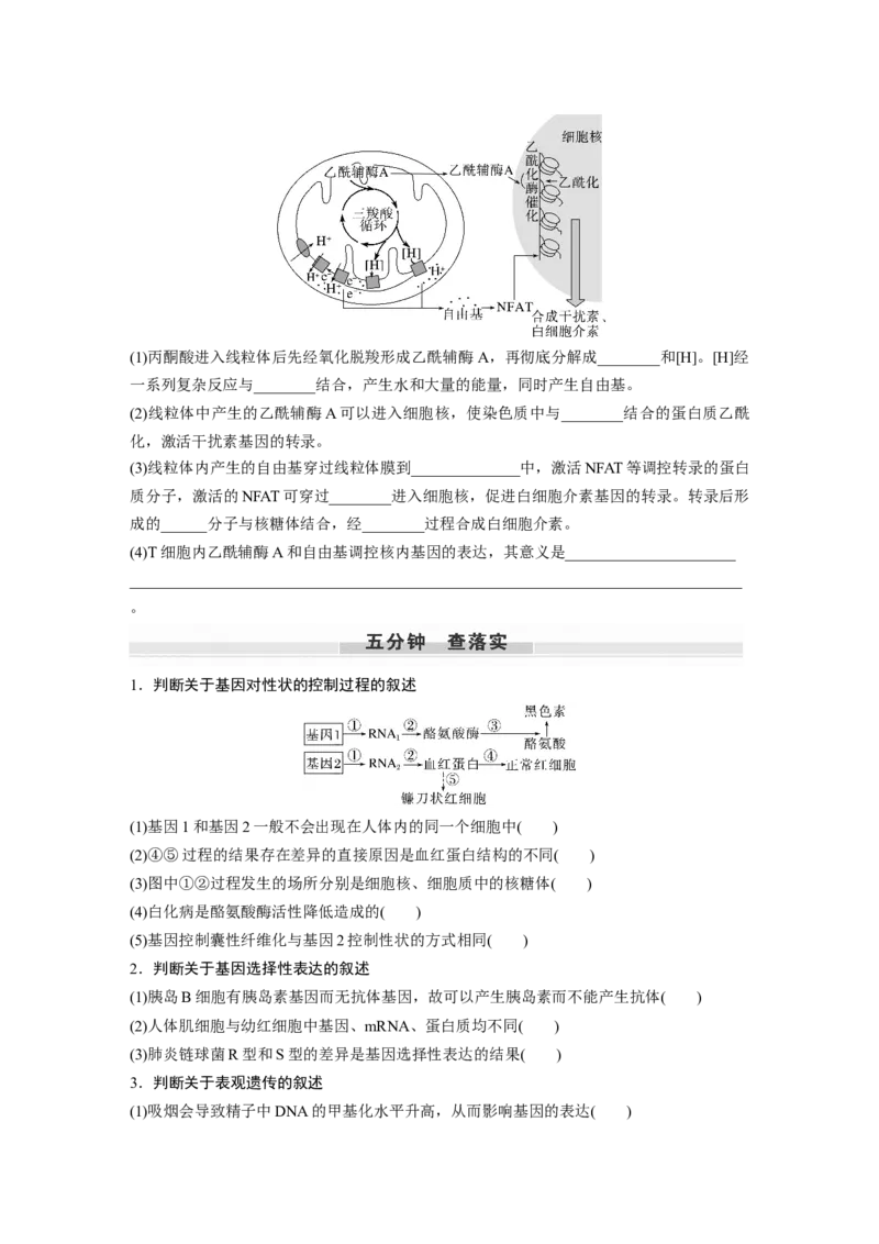 第6单元　第4课时　基因表达与性状的关系_2024年新高考资料_1.2024一轮复习_2024年高考生物一轮复习讲义（新人教版）_学生版在此文件夹_大一轮复习讲义_第六单元　遗传的物质基础