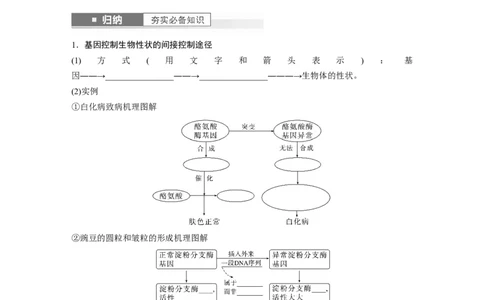 第6单元　第4课时　基因表达与性状的关系_2024年新高考资料_1.2024一轮复习_2024年高考生物一轮复习讲义（新人教版）_学生版在此文件夹_大一轮复习讲义_第六单元　遗传的物质基础