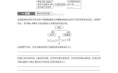 第6单元　第4课时　基因表达与性状的关系_2024年新高考资料_1.2024一轮复习_2024年高考生物一轮复习讲义（新人教版）_学生版在此文件夹_大一轮复习讲义_第六单元　遗传的物质基础