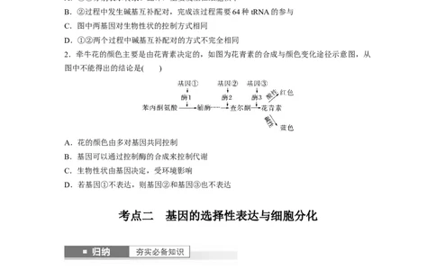 第6单元　第4课时　基因表达与性状的关系_2024年新高考资料_1.2024一轮复习_2024年高考生物一轮复习讲义（新人教版）_学生版在此文件夹_大一轮复习讲义_第六单元　遗传的物质基础