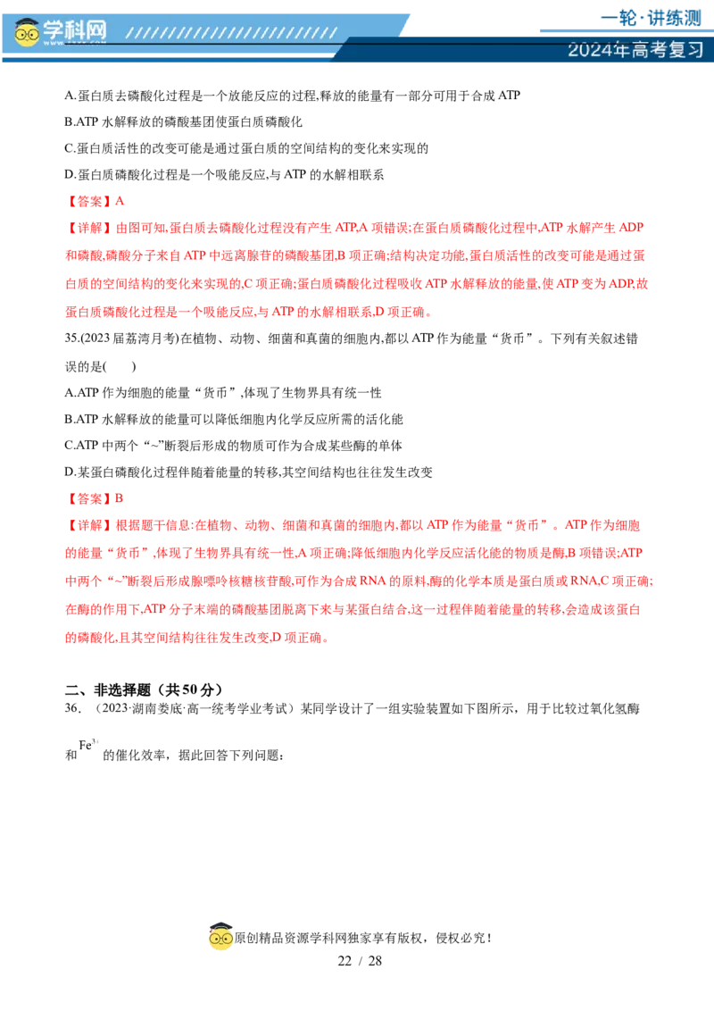 第三单元细胞的能量供应和利用（测试）（解析版）_2024年新高考资料_1.2024一轮复习_2024年高考生物一轮复习讲练测（新教材新高考）