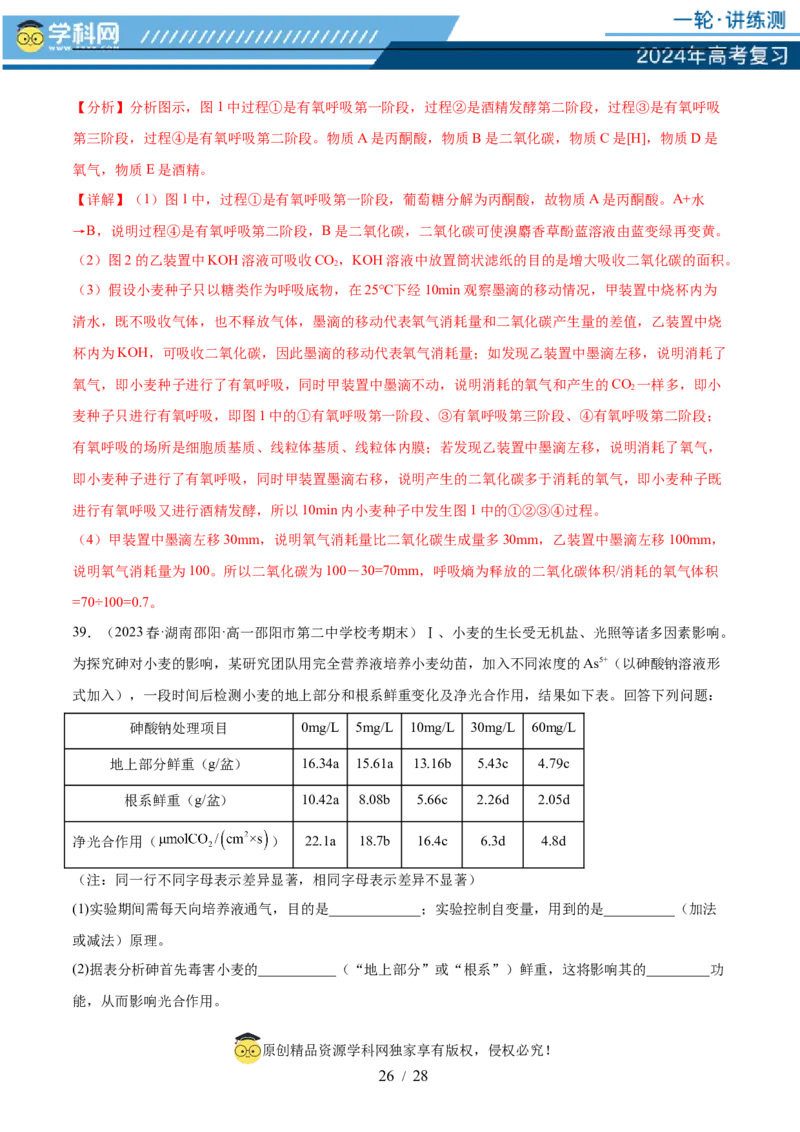 第三单元细胞的能量供应和利用（测试）（解析版）_2024年新高考资料_1.2024一轮复习_2024年高考生物一轮复习讲练测（新教材新高考）