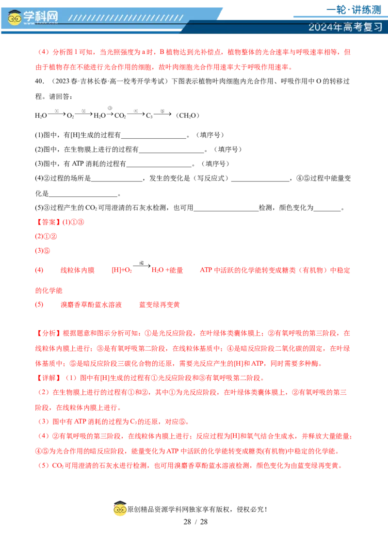 第三单元细胞的能量供应和利用（测试）（解析版）_2024年新高考资料_1.2024一轮复习_2024年高考生物一轮复习讲练测（新教材新高考）