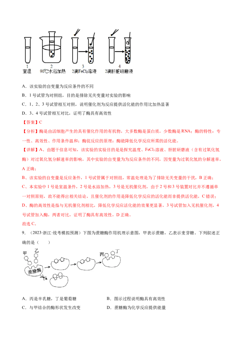 第三单元细胞的能量供应和利用（测试）（解析版）_2024年新高考资料_1.2024一轮复习_2024年高考生物一轮复习讲练测（新教材新高考）