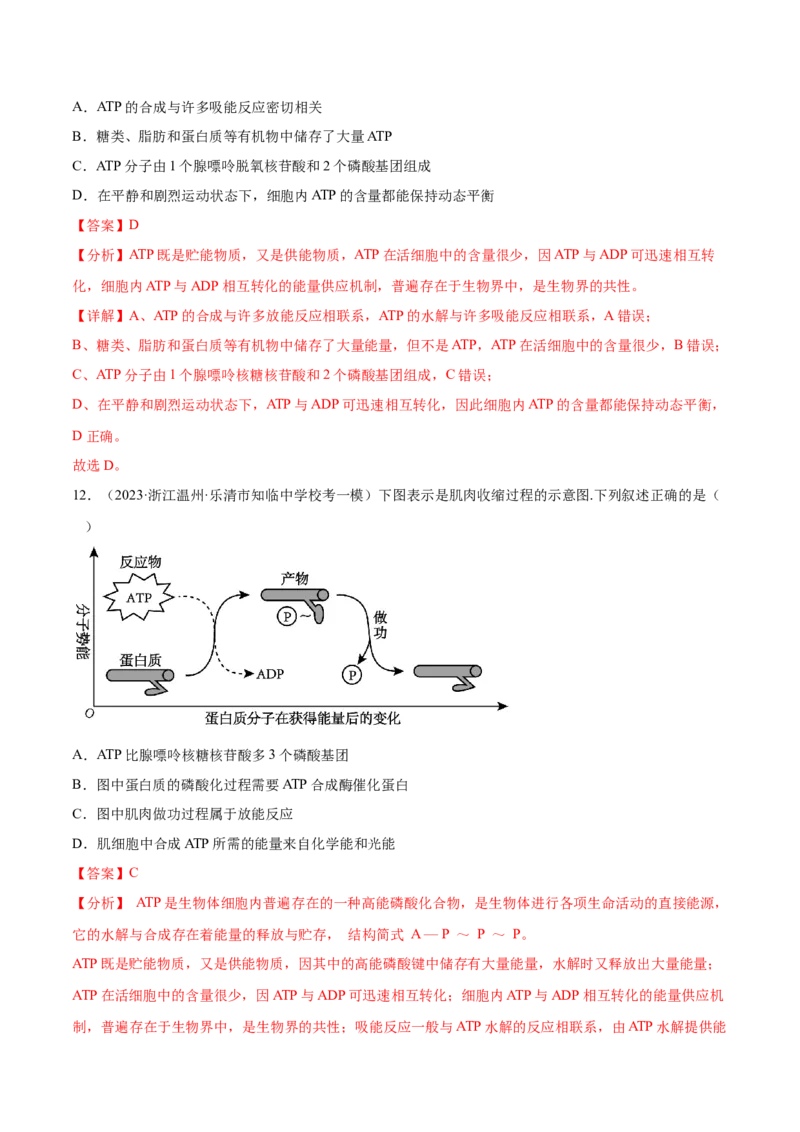 第三单元细胞的能量供应和利用（测试）（解析版）_2024年新高考资料_1.2024一轮复习_2024年高考生物一轮复习讲练测（新教材新高考）
