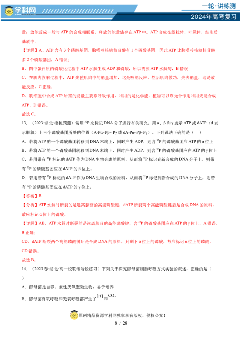第三单元细胞的能量供应和利用（测试）（解析版）_2024年新高考资料_1.2024一轮复习_2024年高考生物一轮复习讲练测（新教材新高考）