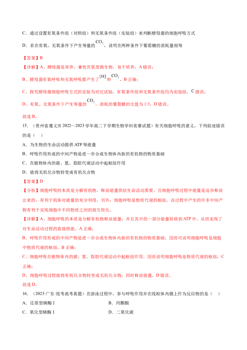 第三单元细胞的能量供应和利用（测试）（解析版）_2024年新高考资料_1.2024一轮复习_2024年高考生物一轮复习讲练测（新教材新高考）