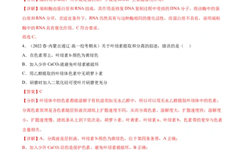 第三单元细胞的能量供应和利用（测试）（解析版）_2024年新高考资料_1.2024一轮复习_2024年高考生物一轮复习讲练测（新教材新高考）