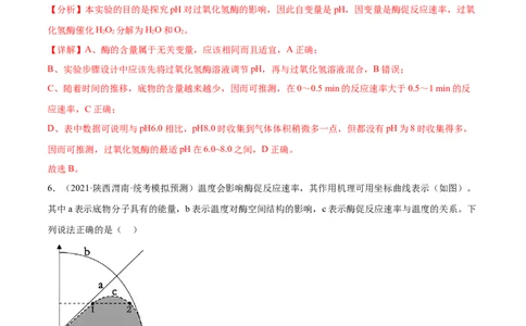 第三单元细胞的能量供应和利用（测试）（解析版）_2024年新高考资料_1.2024一轮复习_2024年高考生物一轮复习讲练测（新教材新高考）