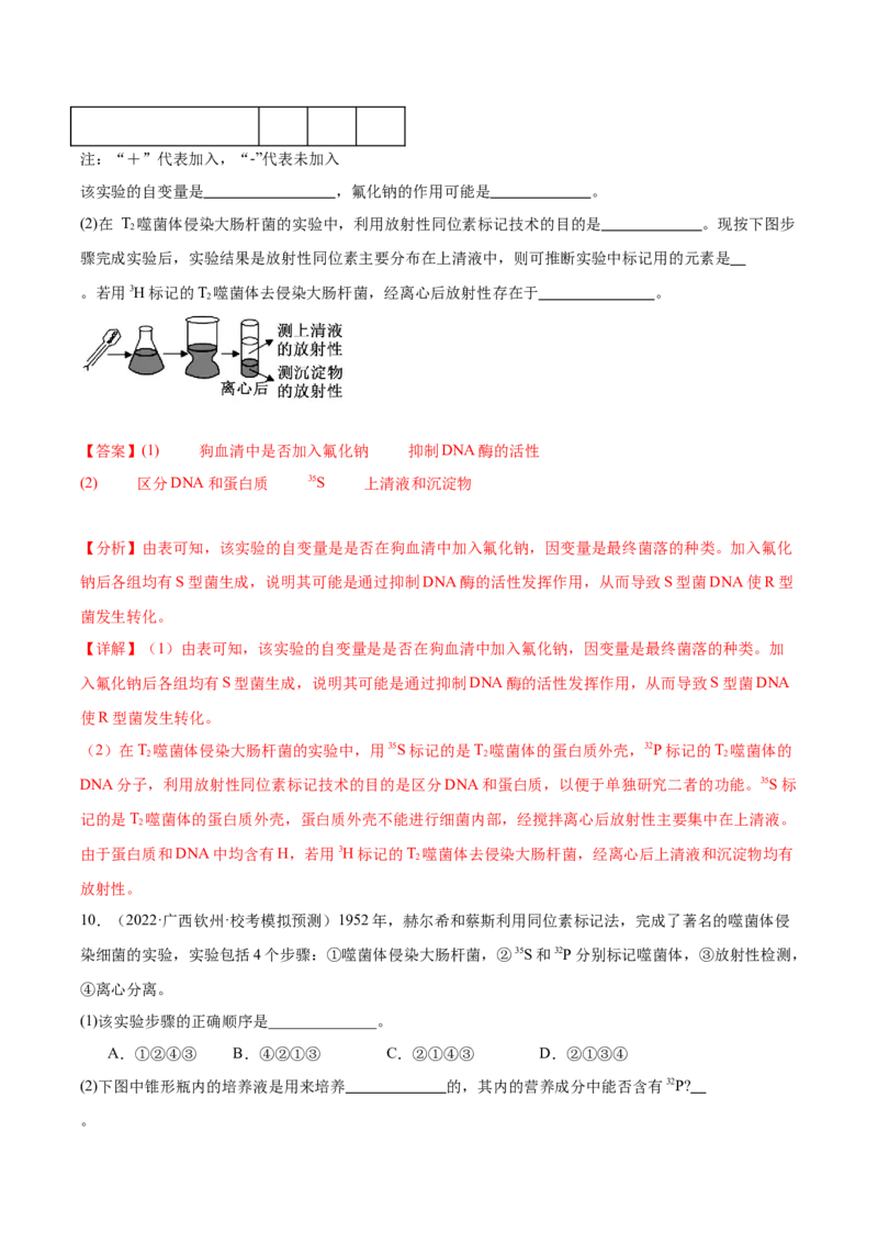 考点通关卷20DNA是主要的遗传物质（解析版）_2024年新高考资料_1.2024一轮复习_2024年高考生物一轮复习考点通关卷（新高考通用）